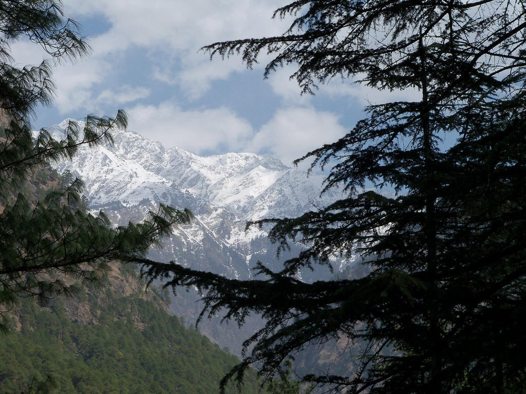 Parvati Kuteer Riverside Resort Kasol Extérieur photo