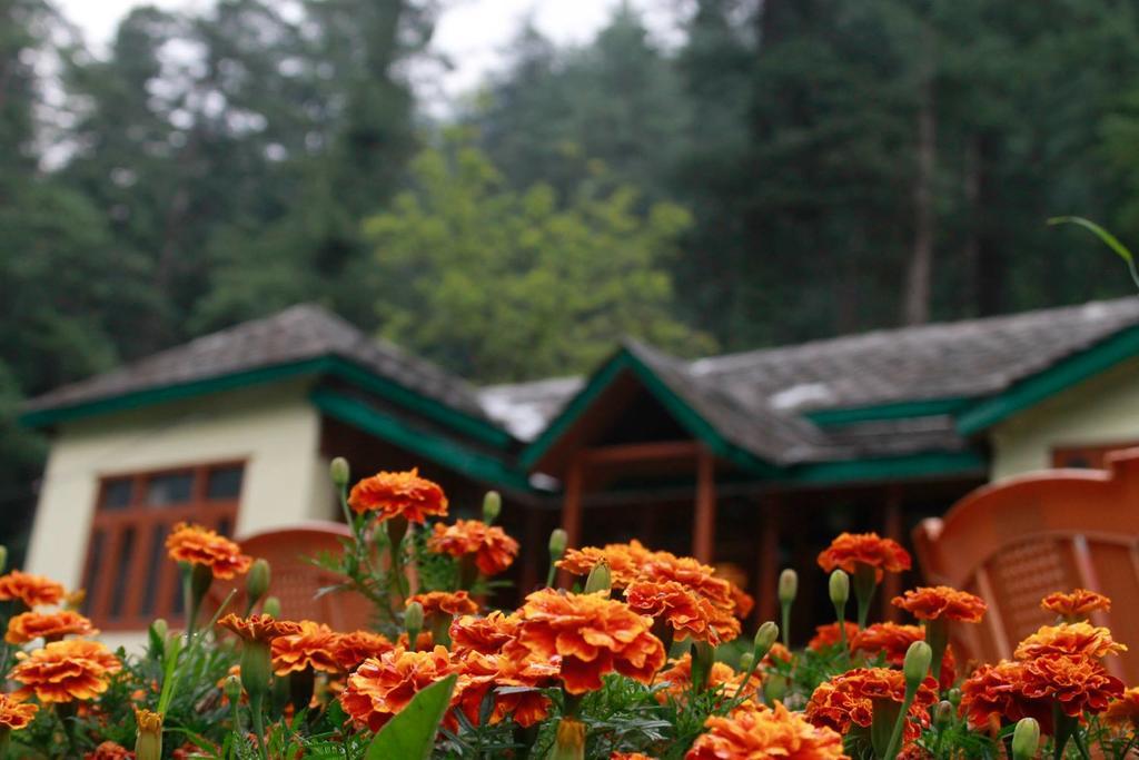Parvati Kuteer Riverside Resort Kasol Extérieur photo