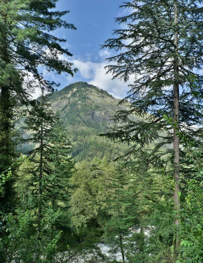 Parvati Kuteer Riverside Resort Kasol Extérieur photo